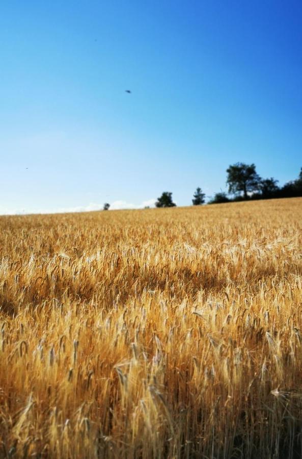 Evasion Nature Et Convivialite Sourcieux-les-Mines ภายนอก รูปภาพ