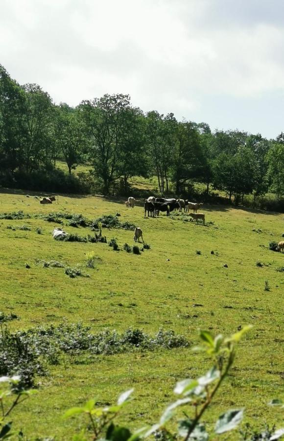 Evasion Nature Et Convivialite Sourcieux-les-Mines ภายนอก รูปภาพ